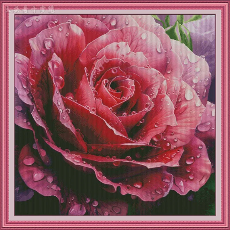 Kit per ricamo a punto croce c - Embroidery Rose Stitch recensione e prezzo